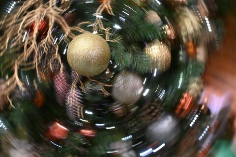 Сменили крыши на иголки: подростки-верхолазы покорили новогоднюю ёлку на Московском проспекте в Петербурге