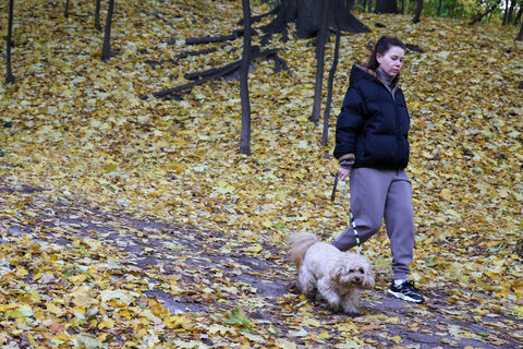 Где в Петербурге по закону хоронят питомцев: как не стать добычей «охотников за горем»