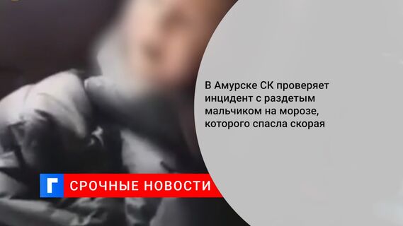 В Амурске СК проверяет инцидент с раздетым мальчиком на морозе, которого спасла скорая