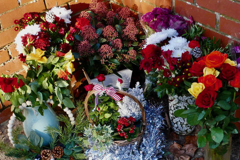 Петунию больше не сажаем: Заменили её другим цветком - даёт ароматные шары бутонов до морозов