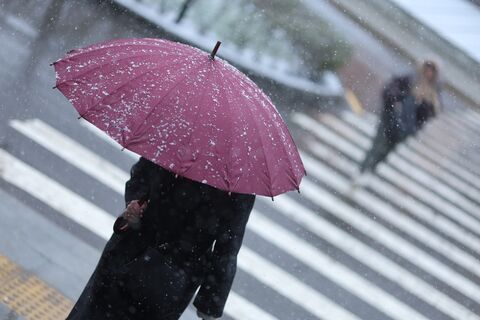 Порывы 20 м/с и мокрый снег в воскресенье: когда циклон отпустит Ленобласть и Петербург