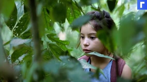 Netflix выпустил трейлер фильма Prayers for the Stolen