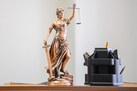 Лечила хвостатых — калечила закон: в Петербурге осудили начальника ветстанции за взятки