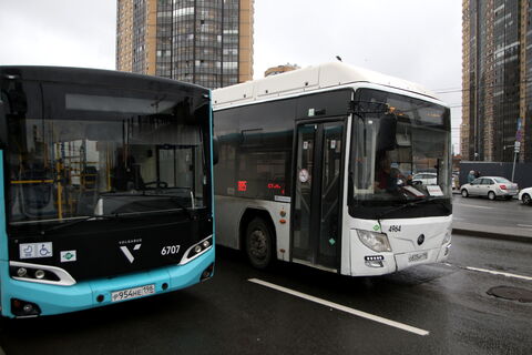 Автобусы, Петербург