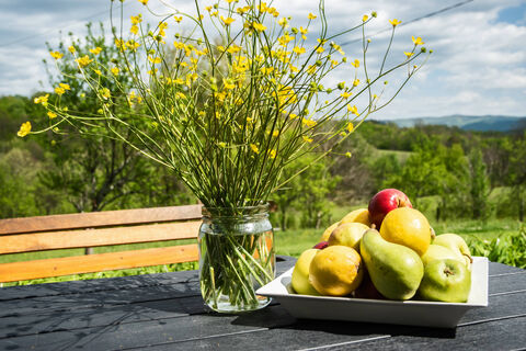 Опрыскиваем деревья "снадобьем" в апреле – яблони, груши и вишни без намека на гниль – 100% уничтожение монилиоза