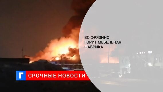 На мебельной фабрике во Фрязино произошел пожар площадью 7 тыс. кв. м