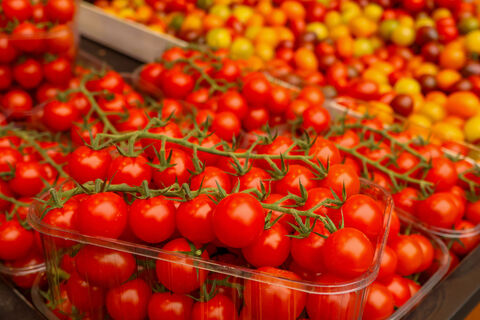 Городовой ру