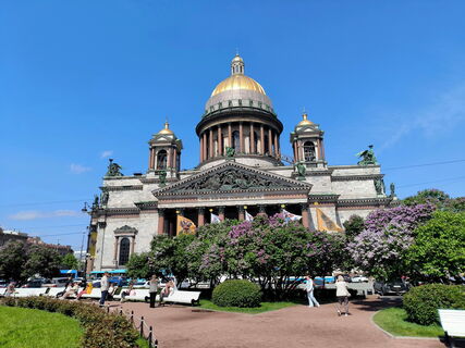 Мигрень в букете и яд для кота: что скрывает ароматная петербургская сирень