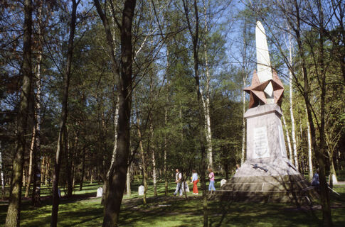 Городовой ру