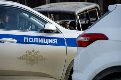 Полиция ищет убийц собак «ЛизаАлерт» после тренировки в Пскове