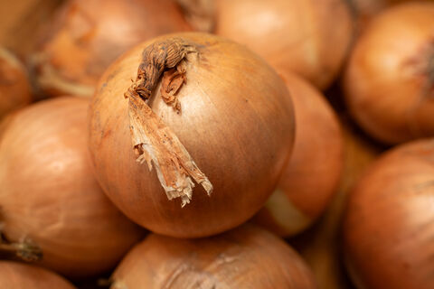 Из всех сортов лука сажаю только 2: от урожая спасу нет даже на Севере – луковицы выросли размером с кулак  