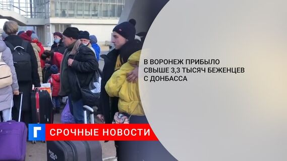 Воронежская область приняла 3,3 тыс. беженцев из ДНР и ЛНР