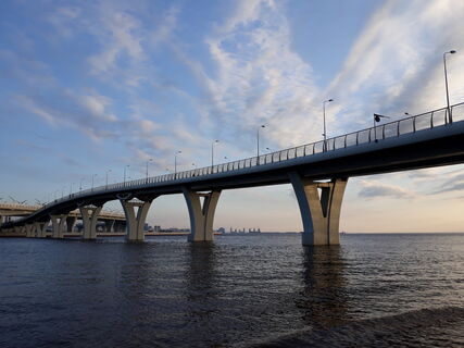 Секунды на вес золота: в Петербурге полицейские вытащили школьника, сорвавшегося с моста в холодную воду
