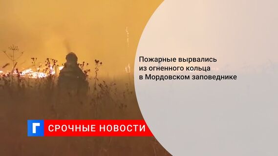 Пожарные вырвались из огненного кольца в Мордовском заповеднике