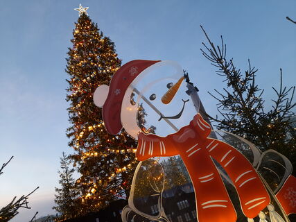 Главная ёлка Кронштадта — не местная: её уже срубили в Ленобласти