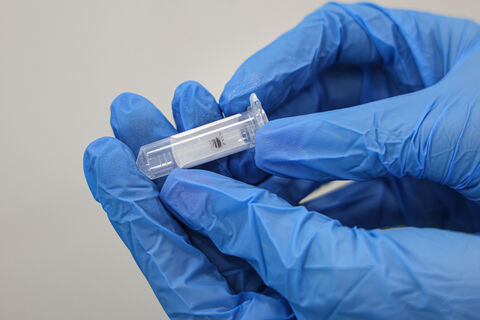 Пробуждение паразитов: как не стать добычей клещей в Ленобласти