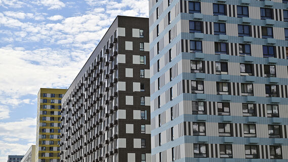 Человейники