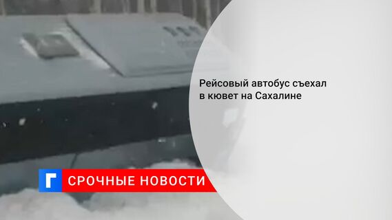 Рейсовый автобус съехал в кювет на Сахалине