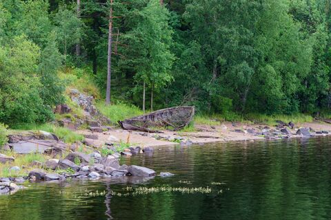 3 килограмма серебра, баня «по-черному» и дома, смотрящие в лес: 10 сказочных мест под Петербургом