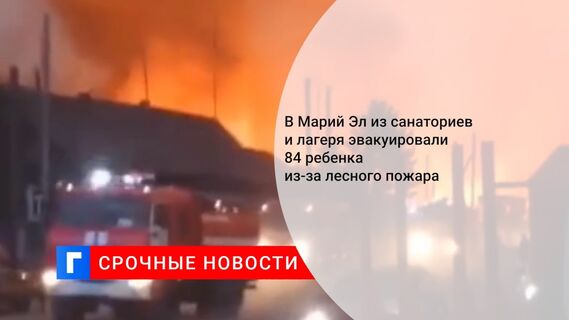 В Марий Эл из санаториев и лагеря эвакуировали 84 ребенка из-за лесного пожара