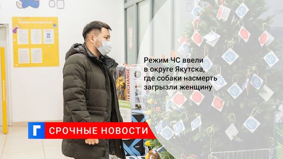 Режим ЧС ввели в округе Якутска, где собаки насмерть загрызли женщину
