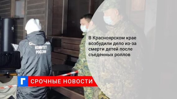 В Красноярском крае возбудили дело по факту гибели двух малолетних детей