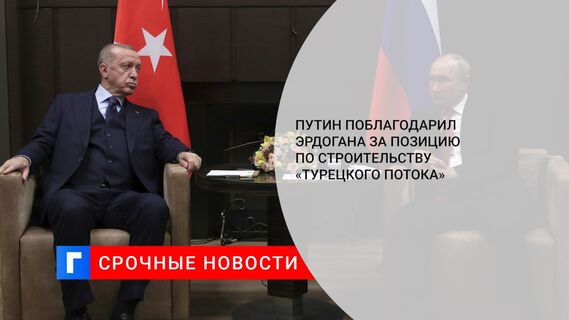 Путин поблагодарил Эрдогана за позицию по строительству «Турецкого потока» 
