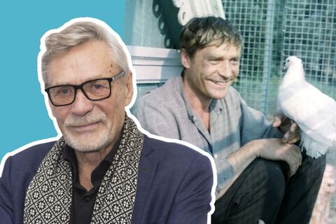Михайлов чуть не погиб на съемках «Любовь и голуби» — вот какая сцена едва не стоила ему жизни