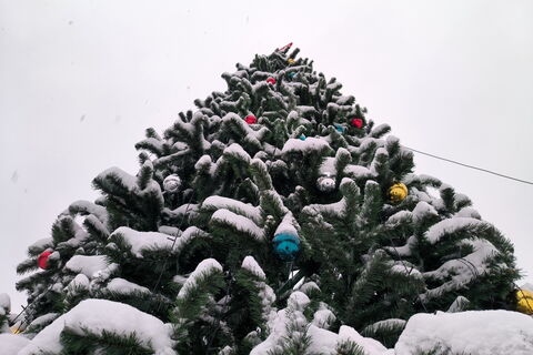 «Звезду с ёлки»: петербуржец сломал ноги ради счастья