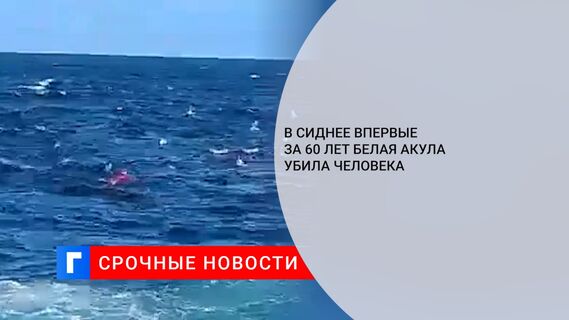 В Сиднее впервые за 60 лет белая акула убила человека