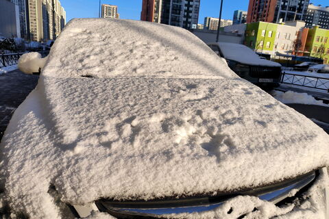 Под влиянием циклона: в начале следующей недели в Петербурге похолодает и пойдёт мокрый снег