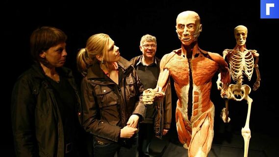 Бастрыкин поручил проверить выставку Body Worlds в Москве