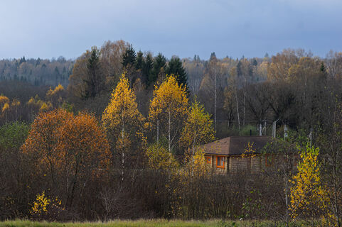 Городовой ру