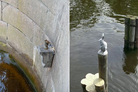 Не только Чижик-Пыжик: где загадать желание в Петербурге — тайные места, где скрываются легенды