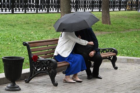 реестр холостяков