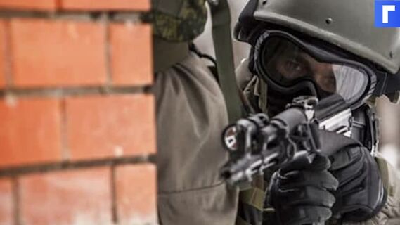 Пять силовиков получили ранения при ликвидации боевиков в Чечне