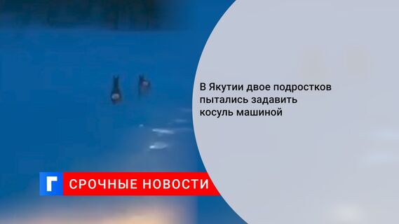 В Якутии двое подростков пытались задавить косуль машиной