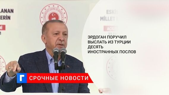 Эрдоган поручил выслать из Турции десять иностранных послов