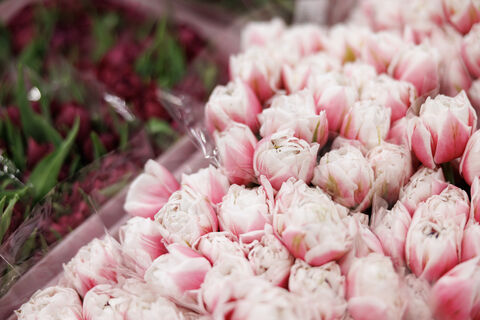 8 марта без аллергии: как выбрать безопасный букет для любимых