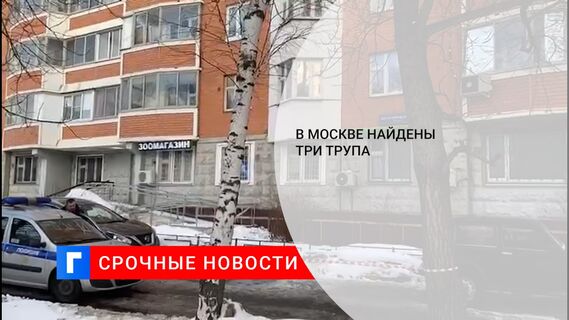На севере Москвы произошло двойное убийство