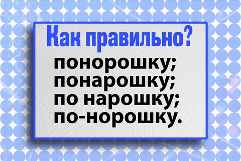 Ошибается каждый второй: это слово вызывает затруднение даже у знатоков – проверьте свою грамотность