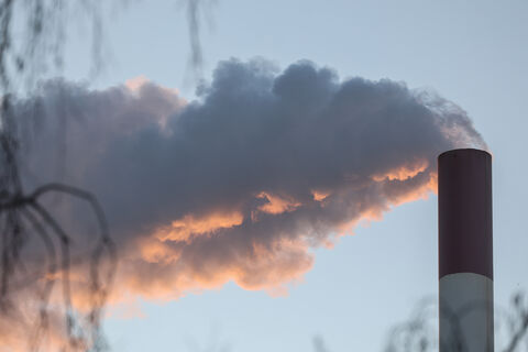 Чем теперь будут дышать петербуржцы: власти задумали неожиданный фильтр для городской атмосферы