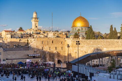 Россиянка переехала в Израиль - через полгода сбежала: жизнь в холоде и голоде за 180 тысяч в месяц