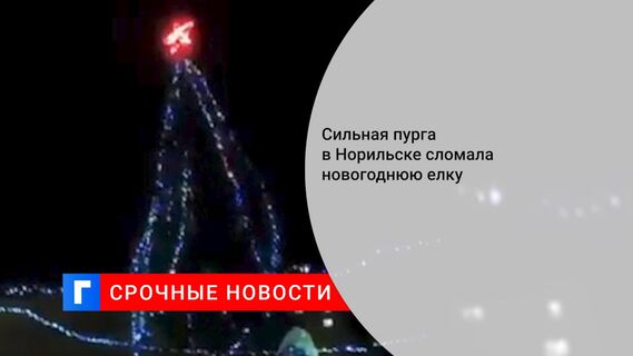 Сильная пурга в Норильске сломала новогоднюю елку