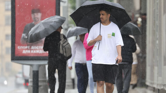 Люди, дождь