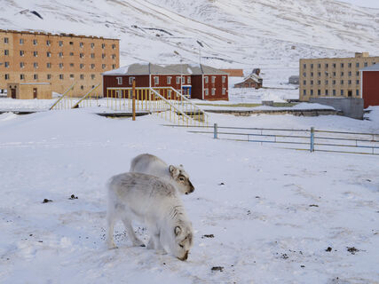 Осколок прошлого, застрявшего во льдах: как живут люди в российском городе, расположенном на Шпицбергене – во времена СССР он был местом силы