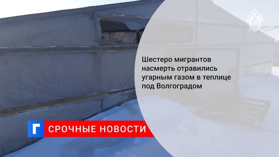 Возбуждено дело о гибели шести мигрантов в Волгоградской области