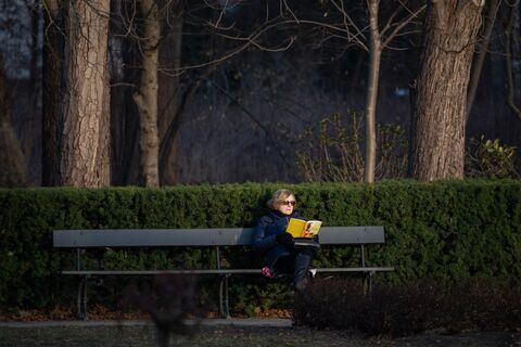 Окультуриваемся с питерцами: топ-6 тихих и комфортных мест для чтения книги на свежем воздухе