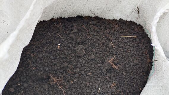 Заливаю в землю 1 флакон – и весной грунт станет черноземом за гроши: без 100 кг навоза и лопаты