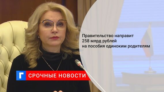 Правительство направит 258 млрд рублей на пособия одиноким родителям